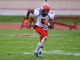 Brandon Shed Hobart NFL