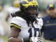 Devin Bush NFL