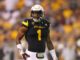 N'Keal Harry NFL