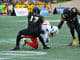 Tae Hayes NFL
