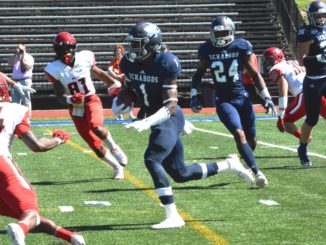 Corey Ballantine NFL