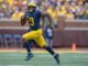 Donovan Peoples-Jones NFL